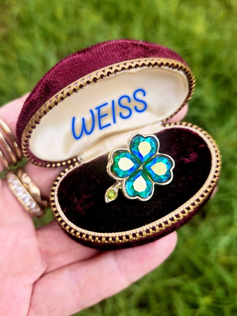 Tiny But Mighty Weiss